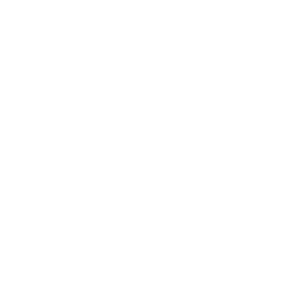 Weißes WordPress-Logo mit schwarzen Konturen, mit dem Buchstaben „W“ in einem doppelten Kreis.