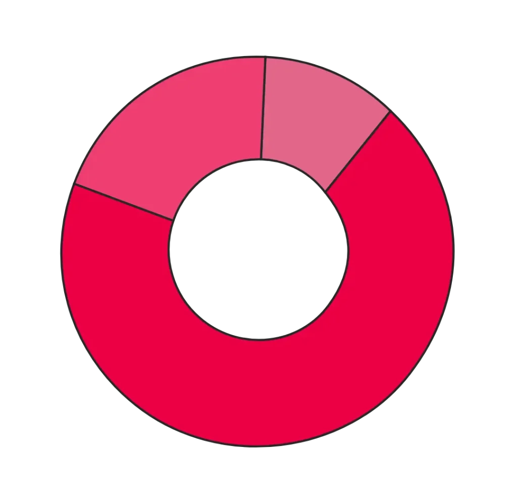 Ringdiagramm in verschiedenen Rottönen auf schwarzem Hintergrund, in vier Abschnitte unterteilt.