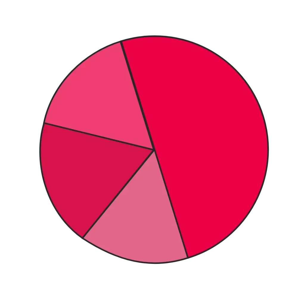 Kreisdiagramm in verschiedenen Rottönen auf schwarzem Hintergrund, in fünf unterschiedlich große Segmente unterteilt.